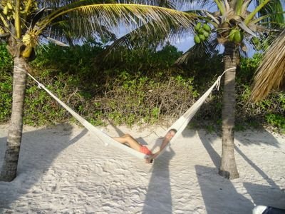 RosanaSF83's profile picture. 