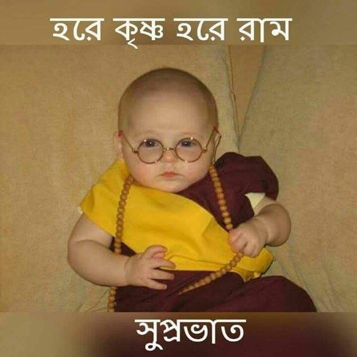 ch2008ari's profile picture. 