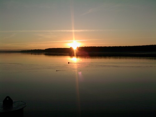 massos17's profile picture. Look at me! Im an evolved monkey!!