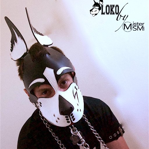 DOG ET HANDLER 18+
french boy ( my english is bad) /
30 years 175cm 65 kg /