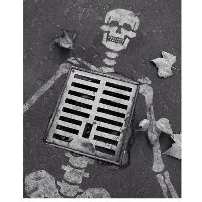 Velasquez6Nacho's profile picture. SPEAK THE TRUTH EVEN IF YOUR VOICE SHAKES