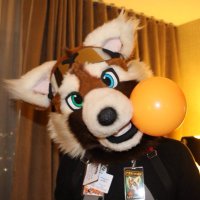 Bomber Panda (@bomberpanda2) 's Twitter Profile