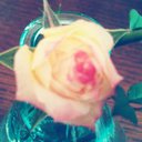 麻里 (@01d4a8e903c2428) Twitter
