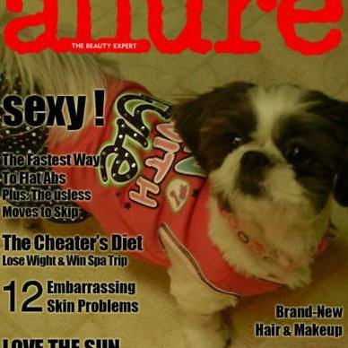 pammygirl1979's profile picture. Hello, my name is Pamela and I do affiliate marketing as a side hustle. Please view my link and find some fantastic deals with free shipping!!