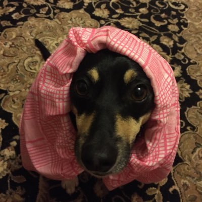 Cassiopeia_84's profile picture. Am I relevant yet?