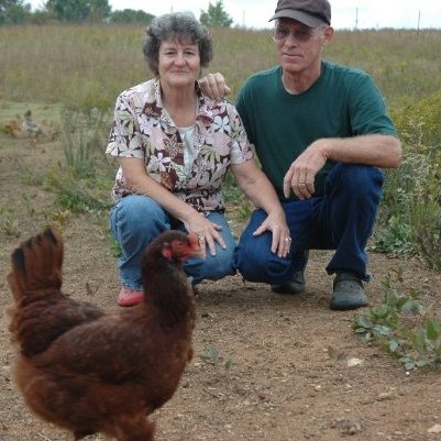 We have scaled our flock down and stopped offering our Rainbow Eggs to the public, focusing instead on homesteading and teaching wild edibles.