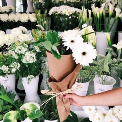 Amal2011yaesh's profile picture. 