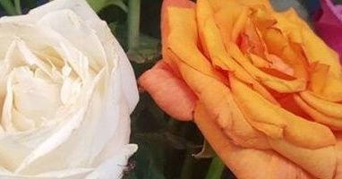 مغلق للابد
 به خاااااص ممنووووع &&أنسانه هادئه واحب الهدوء