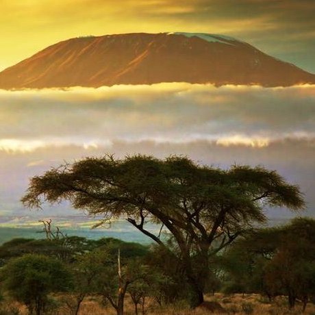 In September, our family will climb the tallest summit in Africa — Mount Kilimanjaro — to raise money for Electrify Africa. Our goal? To raise over $30,000.