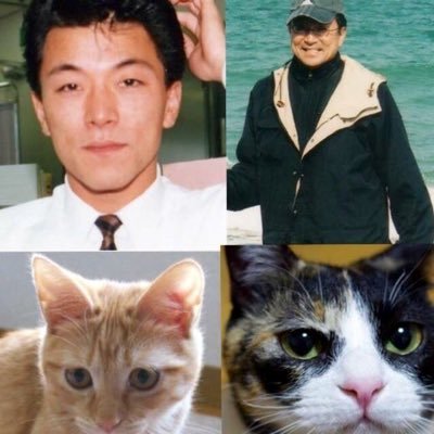 Kachimotoさんのプロフィール画像