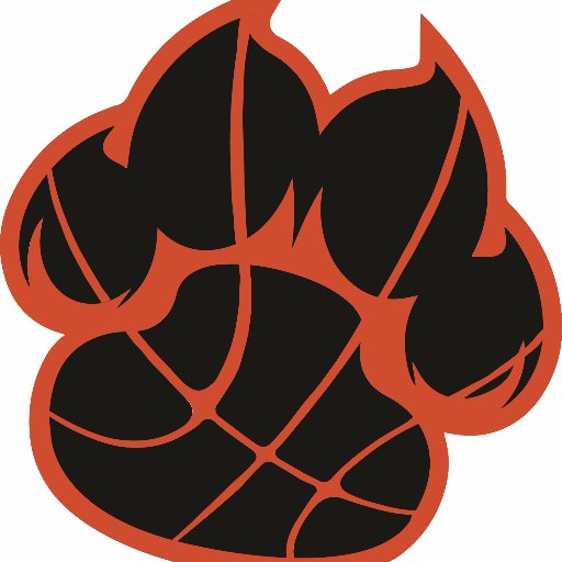 clctigersgbb Profile Picture