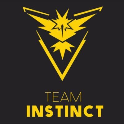 #TeamInstinctOhio | Painting Ohio yellow day by day | Open DMs for live updates and photo sharing
