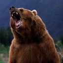 El_grizzly_ (@13Grizli) Twitter