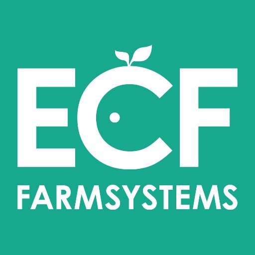 ECF offers innovative aquaponics farming systems which enable the resource-friendly and commercially viable production of fish, vegetables and herbs.