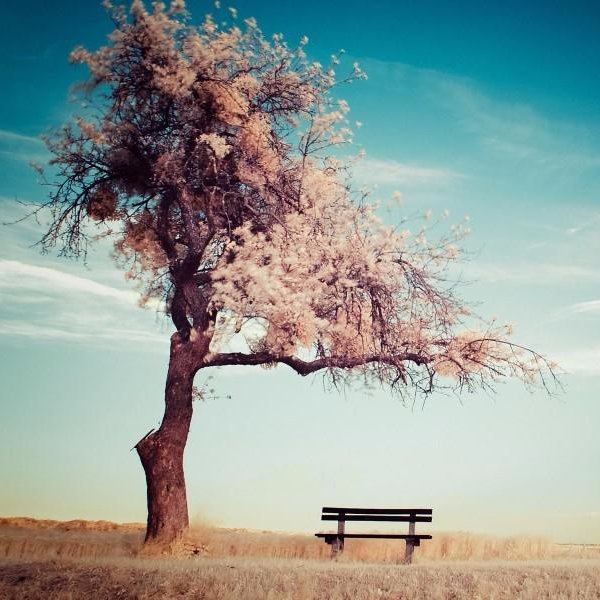 biysaiy's profile picture. 