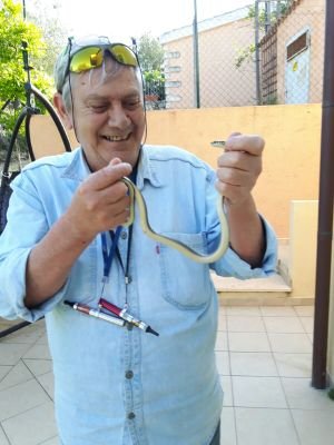 MarcoMichi11's profile picture. Imprenditore a riposo