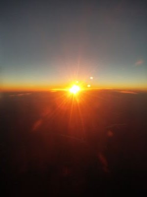 linetrio's profile picture. 