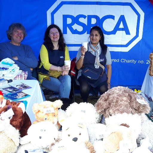 RSPCA Cruelty Hotline 0300 1234 999 RSPCA Middlesex North West http://t.co/W8sf0vbDQ9 
Tel/: (020) 8966 9688
info@rspcamiddlesex.org.uk