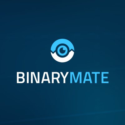 BinaryMate is a new generation binary options broker.