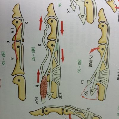 aTdD4A91tnhYETG's profile picture. 