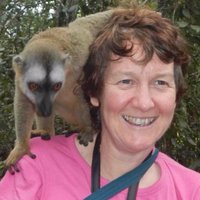 Rosie Trevelyan (@rosietrevelyan) 's Twitter Profile