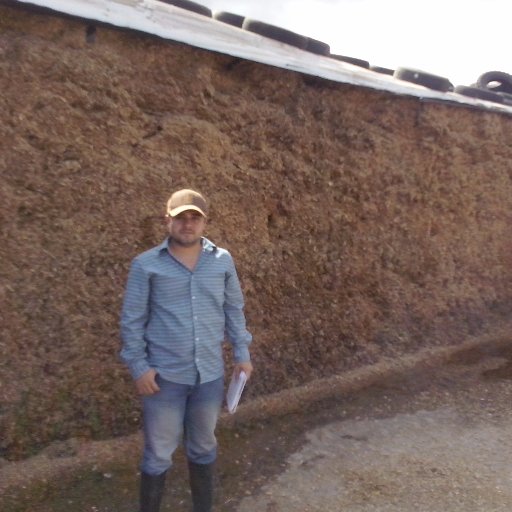 riosdelriooscar's profile picture. 