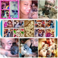 Yes I do all I can to keep a smile on my face,but sometimes the road that gets rough is hard 2 walk on with no shoes! I juz thank GOD 4 my FURBABIES!!!!