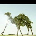 ابو عبدالرحمن@ (@050_2603) Twitter