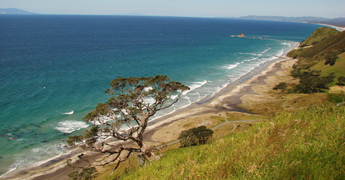 Mangawhai is Northland's slice of coastal paradise, the ultimate holiday destination to kick up your heels, relax and enjoy a fun time of recreation in the sun!