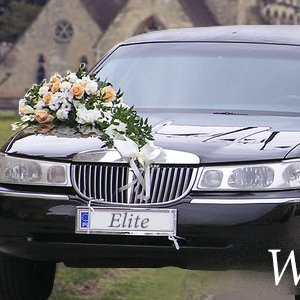 Elite Shuttle service is a leader in corporate travel in the Bay Area and provides tours and specials for every occaision. From Wine Tours to Weddings