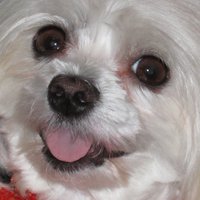 Lisa Mary London (@lisamarylondon) 's Twitter Profile Photo