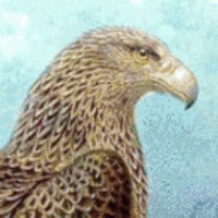 Calton Hill 🏴🇮🇱 (@caltonhilleagle) 's Twitter Profile Photo Calton Hill 🏴🇮🇱 (@caltonhilleagle) 's Twitter Profile Photo