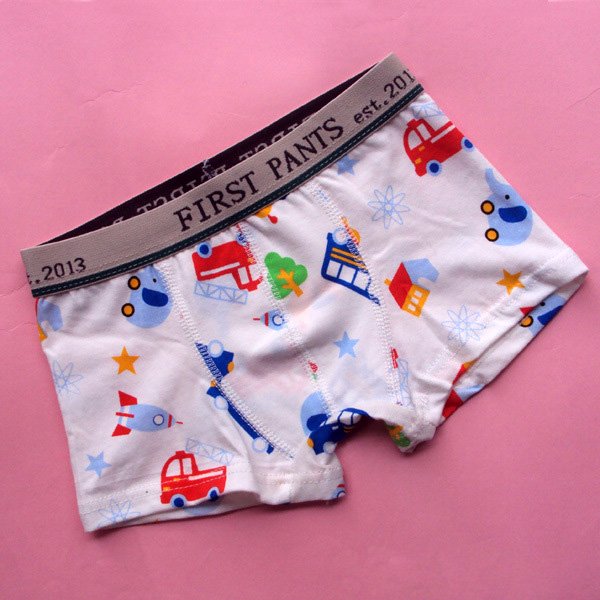 We are a professional Ladies & Men's Underwear / Swimwear / Babywear manufacturer from China.Our company has provided OEM&ODM service .(market@boynee.com)