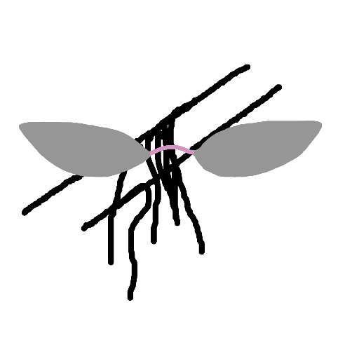 disgardwhipkind's profile picture. aradia@yopmail.com
boomboom