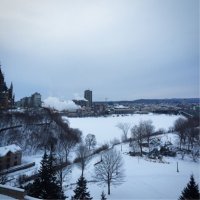 hold (@pregcompanion) 's Twitter Profile