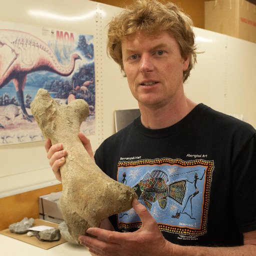 Vertebrate Curator, Museum of New Zealand Te Papa Tongarewa; birds, palaeontology, conservation & general natural history