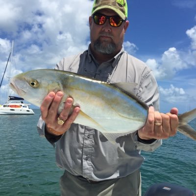 usrappsession's profile picture. 