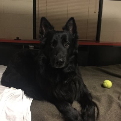 Trooper473's profile picture. 