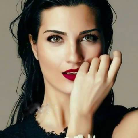Fan account dedicated to ❛@tubabustun❜
