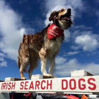 Irish Search Dogs (@irishsearchdogs) 's Twitter Profile