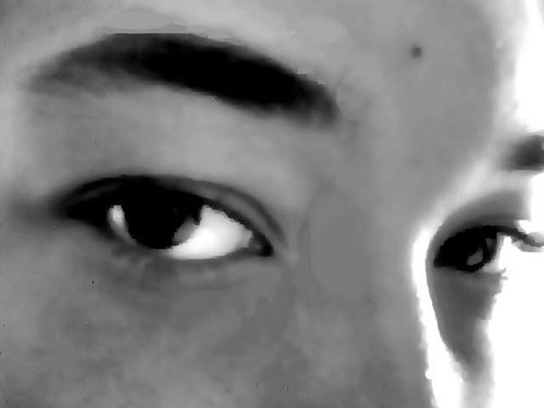 Diego Barboza Profile