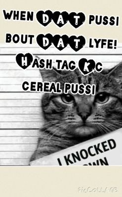 When I finish wit'cha please ya name is swiss cheese...I stay DAT bitch #boutdatlife