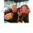 kmwendland's profile image