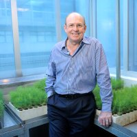 Michael Wingfield (@iufro_mike) 's Twitter Profile