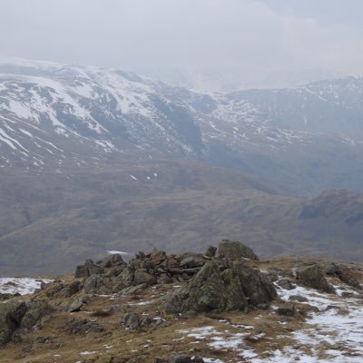 danwalne's profile picture. 