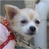 DAI＠8時 (@daiskiland) 's Twitter Profile Photo