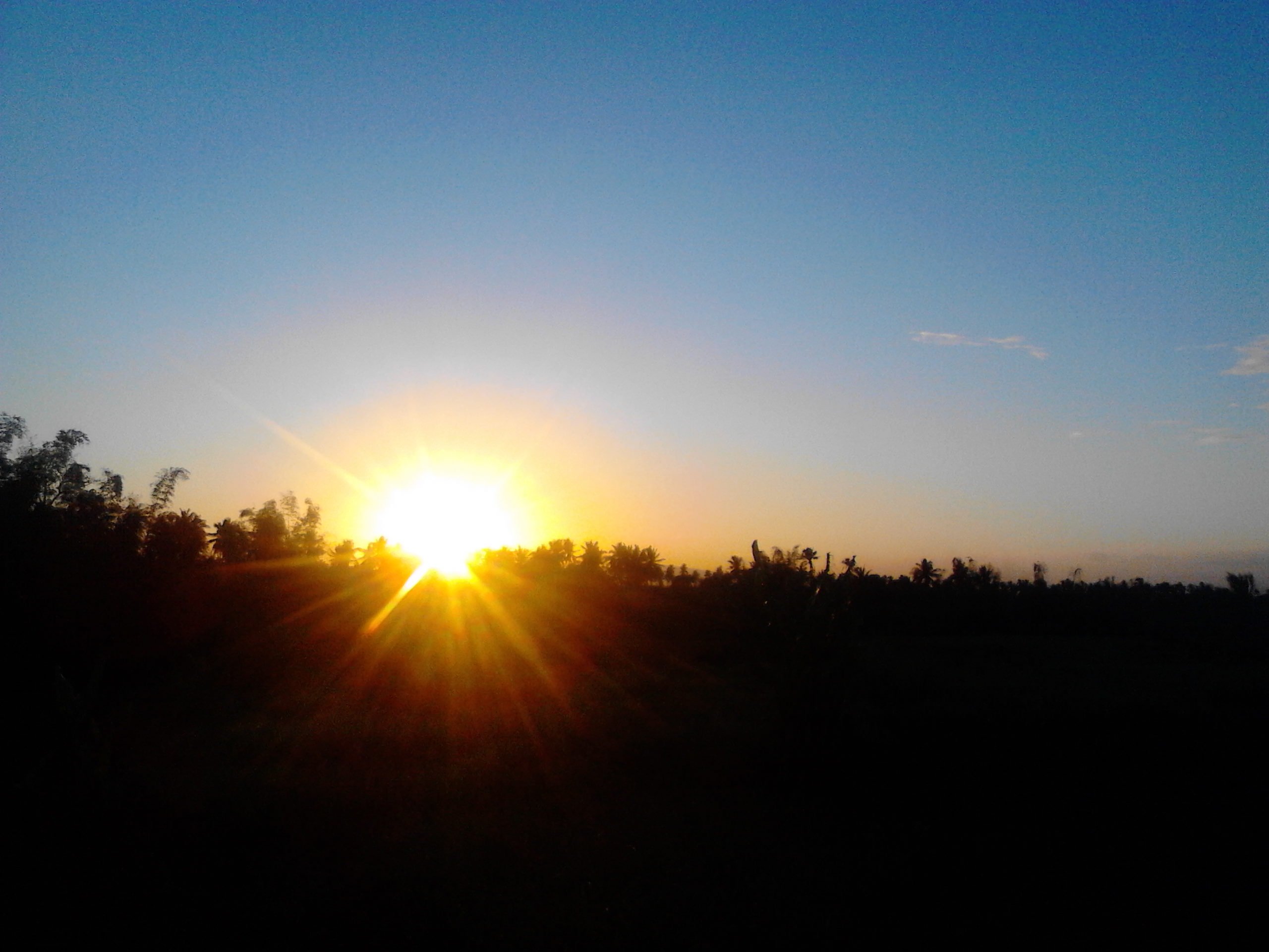 xxiiiseyer's profile picture. 