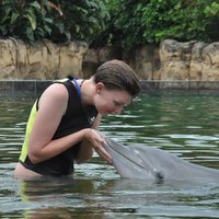 Natalie Sellers (@natjs15) 's Twitter Profile