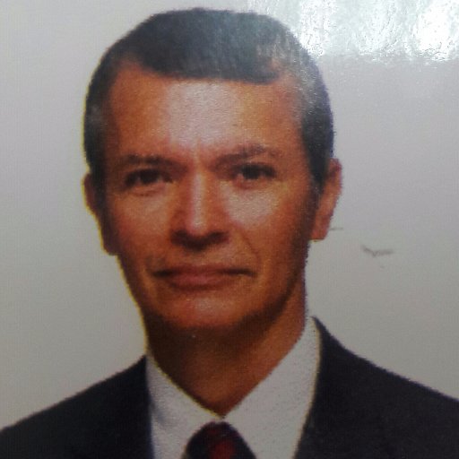 Economista. Maestría en ciencias y gestión 
de negocios. Asesor de empresas. Profesor Universitario.