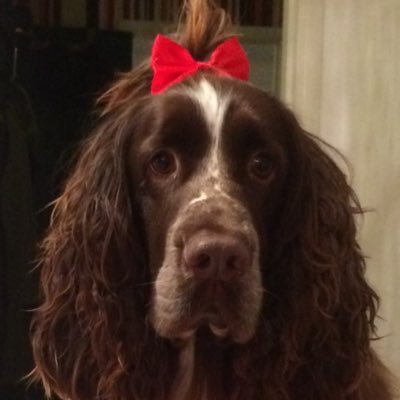 elliot0203's profile picture. 